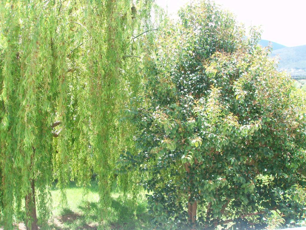 Finikes Studios Kefalonia Sami  Exteriör bild