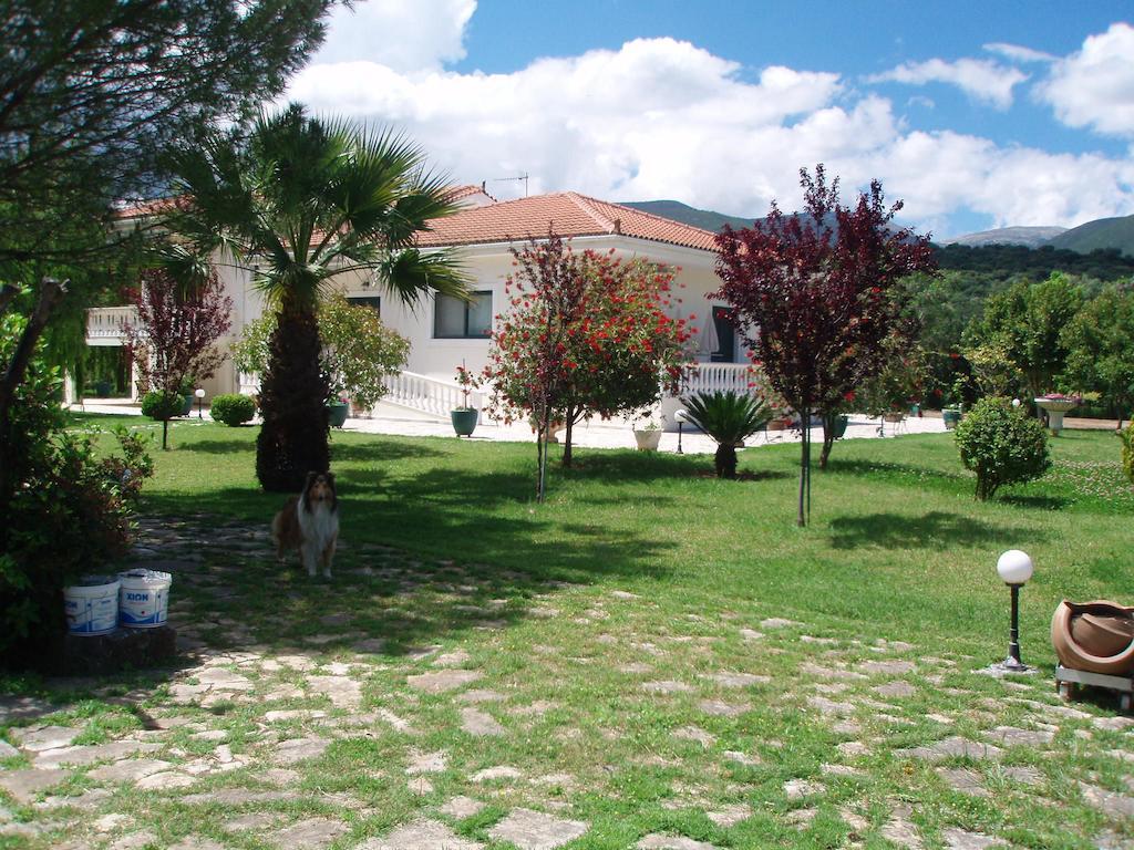 Finikes Studios Kefalonia Sami  Exteriör bild