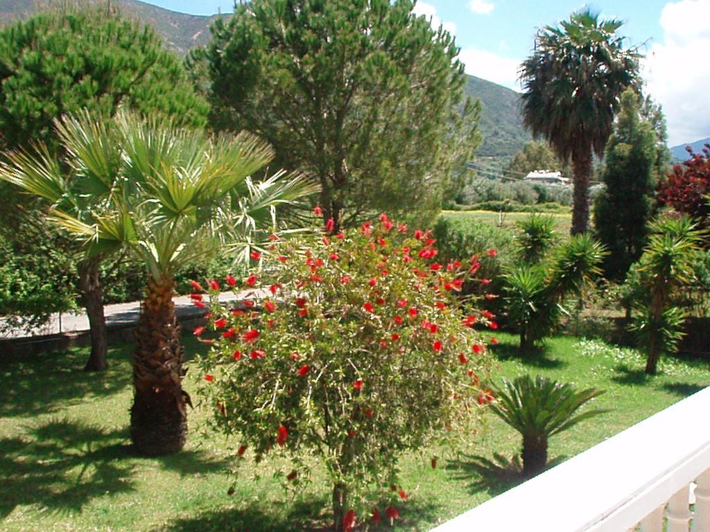 Finikes Studios Kefalonia Sami  Exteriör bild