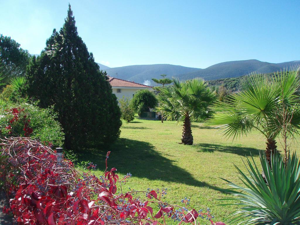 Finikes Studios Kefalonia Sami  Exteriör bild