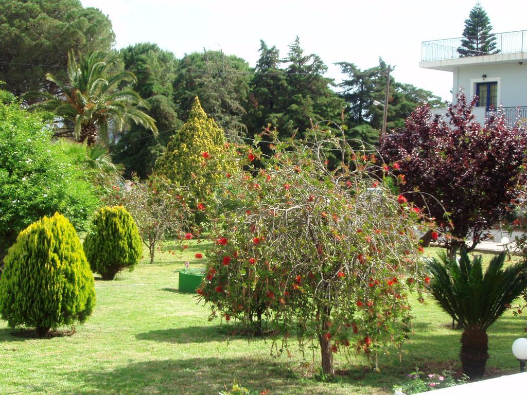 Finikes Studios Kefalonia Sami  Exteriör bild