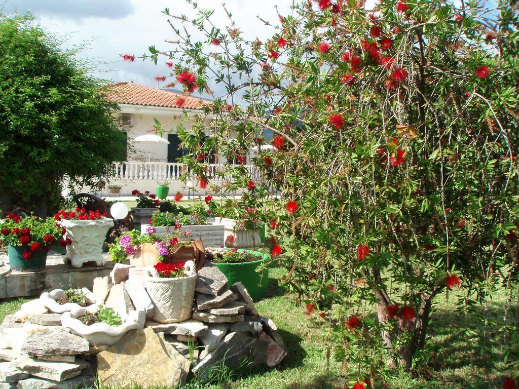 Finikes Studios Kefalonia Sami  Exteriör bild
