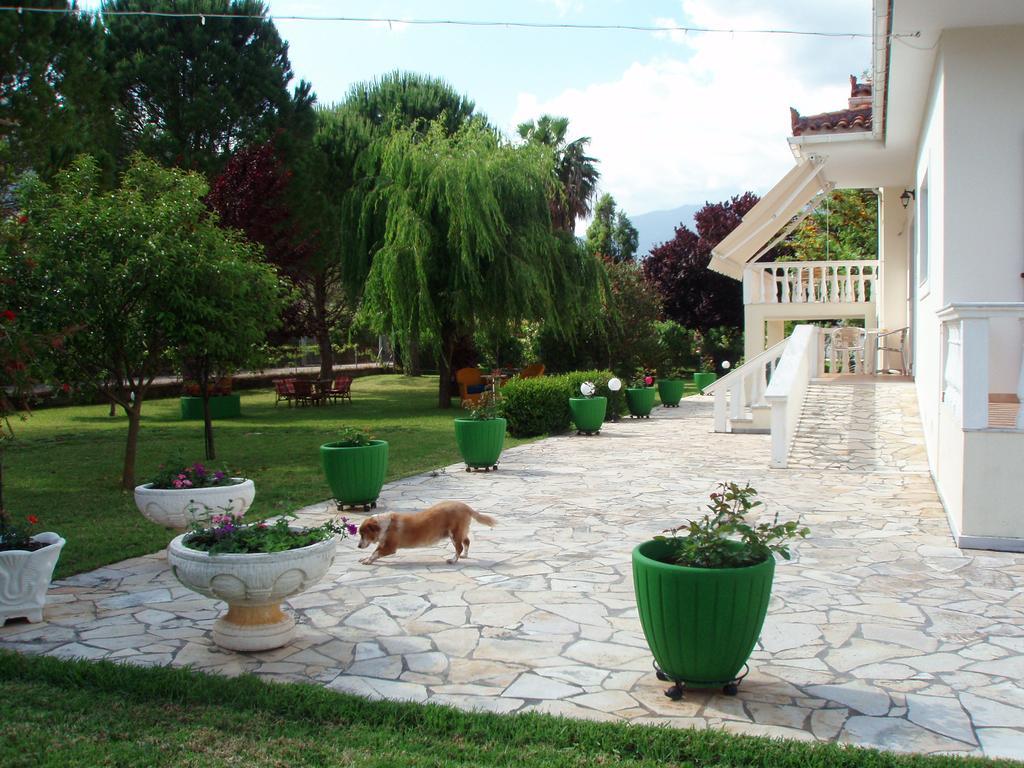 Finikes Studios Kefalonia Sami  Exteriör bild