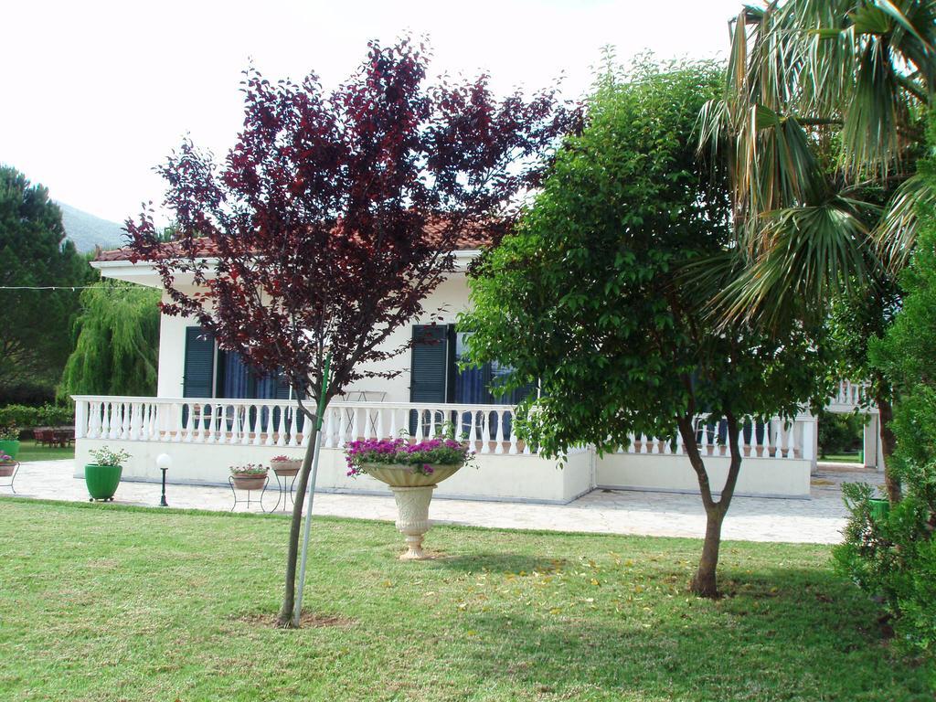 Finikes Studios Kefalonia Sami  Exteriör bild