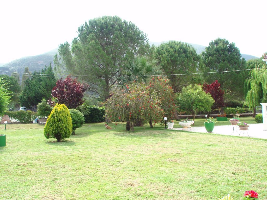 Finikes Studios Kefalonia Sami  Exteriör bild