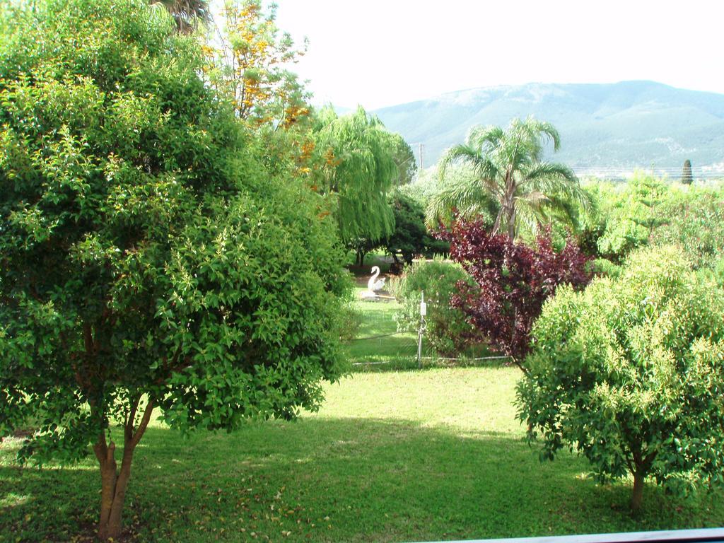 Finikes Studios Kefalonia Sami  Exteriör bild
