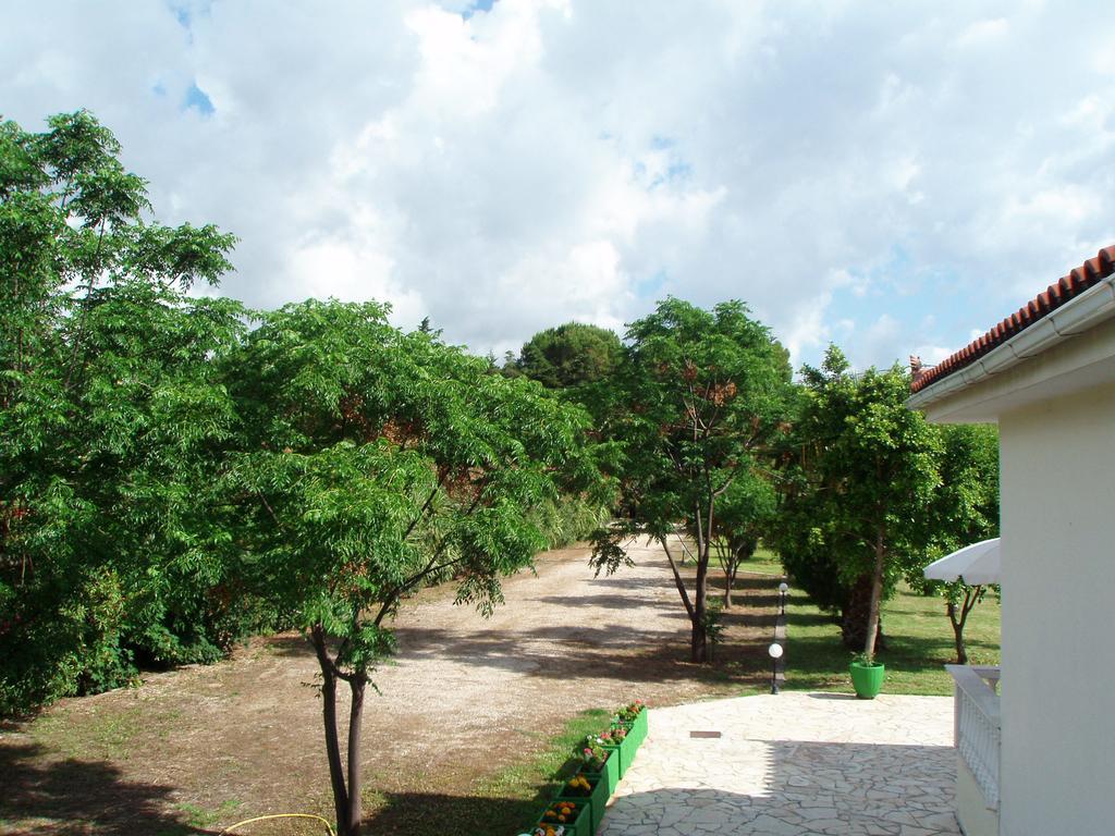 Finikes Studios Kefalonia Sami  Exteriör bild